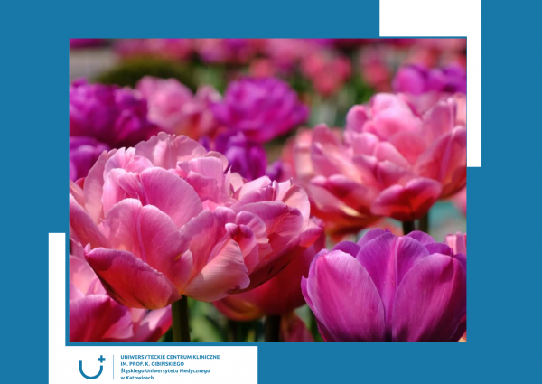 Za nami V edycja Tygodnia dla Kobiet